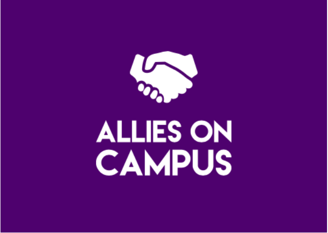 Male allies (Photo 1)